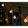 Toyland 40 Diamond Lights - Clear Bulbs - 5.8 Meters