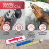 Milliput Epoxy Putty 10 Piece Set, Standard Color - with