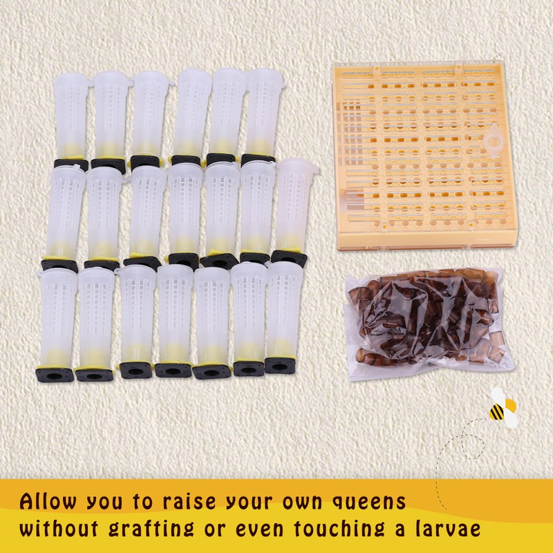 Queen Rearing Cup Kit Bee Cultivating Tool Plastic Beekeeping Box