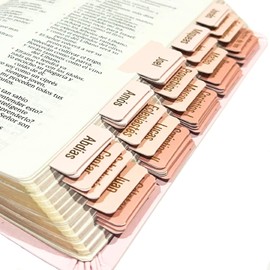 Saggezza, Separadores para Biblia en Español, 80 Pestañas para la Biblia, Etiquetas de Biblia Rosa Laminadas Doradas, Regalo Cristiano, Accesorios para Biblia (Rosa)