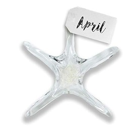 Luke Adams Glass Starfish Wall Decor – Handmade Glass Starfish for Windows – Sea Shell Wall Decoration for Coastal Homes (April)