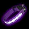 Super Bright LED Dog Collar - Fully Waterproof & Adjustable