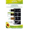 Garnier Nutrisse Creme Coloración Permanente Con Mascarilla Nutritiva De Cuatro