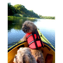 Olivet Dog Life Jacket (X-Small)