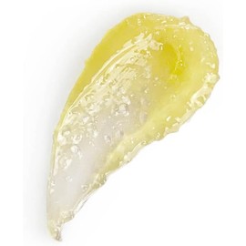 Seraphine Botanicals- Exfoliante labial nutritivo con melisa y tomillo: tratamiento exfoliante para labios, humectante para labios secos y escamosos