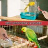 BOXOB 6-Piece Cleaning Brush Set for Bird Cages, Multifunctional Bird