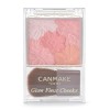 CANMAKE Glow Fleur Cheeks Blush PICK SHADES 02 & 15