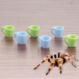 6 Pcs Tarantula Micro Water Bowl Spider Resin Feeding Bowl for Spider Tarantula Millipede Tiny Bugs Small Insects (Blue and Green)