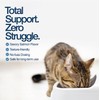 Felisyl L-Lysine Gel for Cats & Kittens (5oz) – Immune