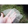 100 Pcs Bodhi Leaf Translucent Leaves Pho Bodhi Tree Veined