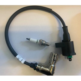 TAOTAO IGNITION COIL METAL HEAD + SPARK PLUG TAOTAO COOLSTER 110cc 125cc ATV GO-KART