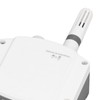 Wall Mounted Temperature Humidity Sensor 4~20mA Analog Temperature Humidity Transmitter