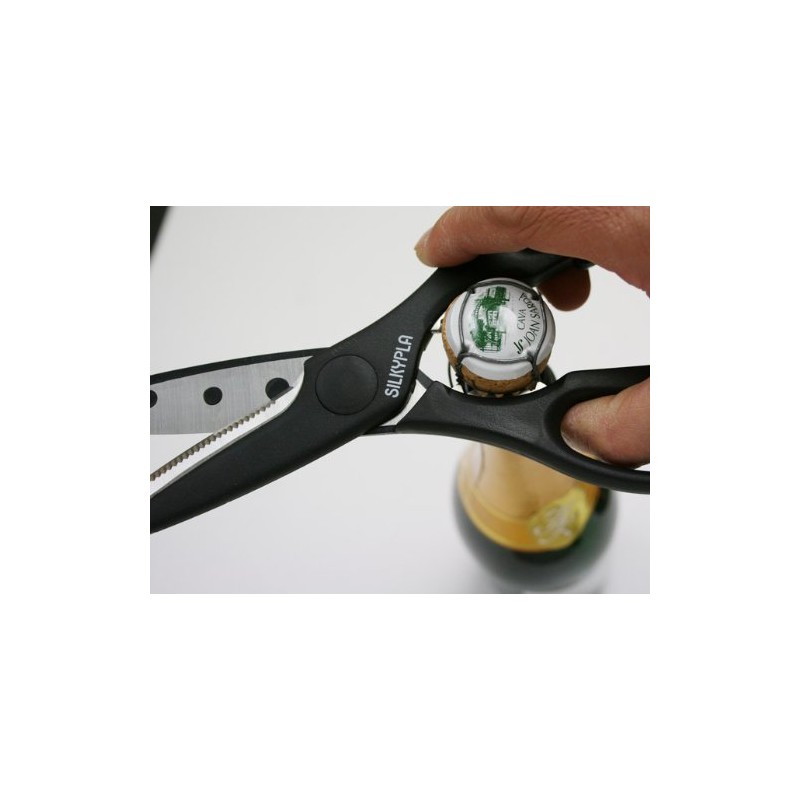 Silky purakittinbasami