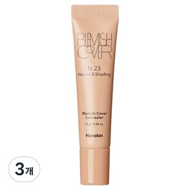 Hanskin Blemish Cover Tube Concealer Color Edition 12g / 한스킨 블레미쉬 커버 튜브 컨실러 컬러에디션 12g