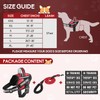 Service Dog Vest Harness and Leash Set, Animire in Training