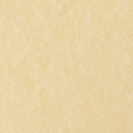 Favini Kalligraphie Pergament A4 (210 × 297 mm) -Cream