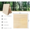 Cassny Unfinished Wood Pieces,5 Pack Basswood Sheets12 x12 x 1/16,Basswood