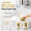 FROPO Metal Pop Up Bathroom Sink Drain with Overflow, Brushed