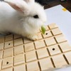 Wmzjnljy 2pcs Rabbit Wooden Scratch Board Grinding Deck Bunny Claws