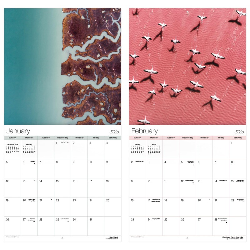 2025 Above it All Wall Calendar