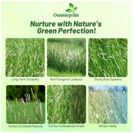 Outsidepride Climax Timothy Pasture Grass Seed - 25 Lbs. Perennial, Hardy, Easy to Grow, High-Yield, & Palatable, Winter Pasture Seed for Late-Spring Grazing, Hay Harvesting & Field Curing