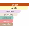 Mirada Together With You Amber Eau De Parfum Ambery Creamy
