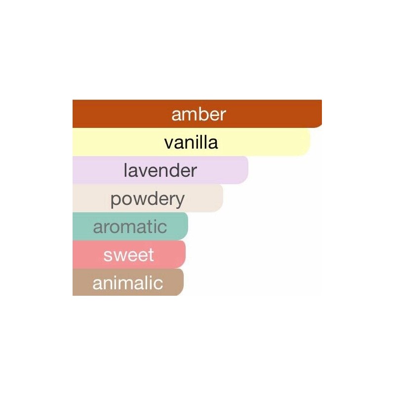 Mirada Together With You Amber Eau De Parfum Ambery Creamy