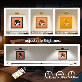 lsvgoe 23" Wireless Picture Lights, Rechargeable Battery Art Display Light with Remote Control, Dimmable/Timer Off Dartboard Light, 3 Lighting Modes Full Metal Painting Display Lights (Black)