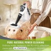 Pressurized Handheld Multi-Surface Natural Steam Cleaner with 12 pcs Accessories,