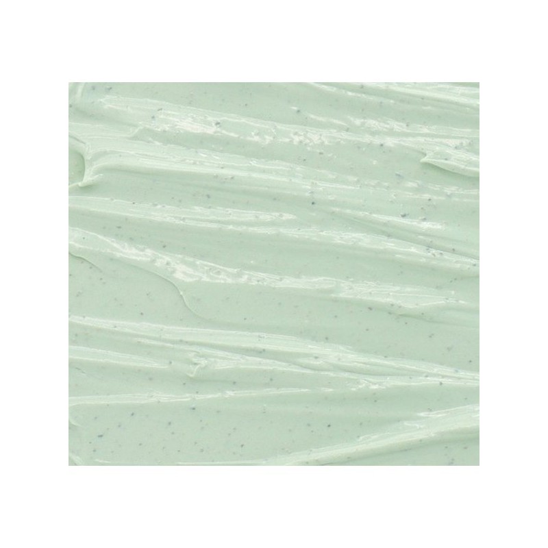 클래리파잉 그린마스크 100ml Clarifying Green Mask 100ml