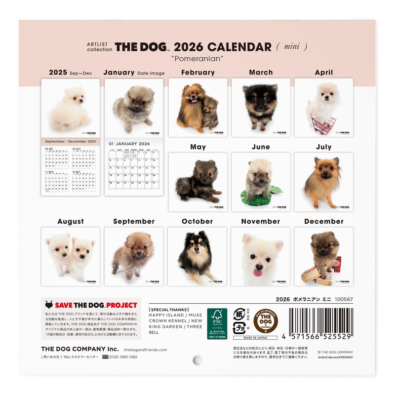 THE DOG Calendar 2026 Wall Calendar Mini Size [Pomeranian]