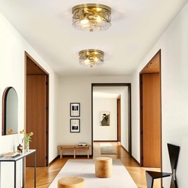 2-Light Flush Mount Ceiling Light Farmhouse Kitchen Island Ceiling Light with Bubble Glass Close to Ceiling Light Fixture for Living Room Bedroom Foyer Hallway