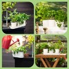 Herb Planter Indoor | Grow Fresh Herbs At Home |