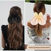 3PCS Bows Hair Clip for Women Clips Cute duck beak