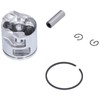 Piston Set with Ring for 555 560 562 Replacement Chainsaw