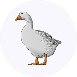 24 x 40mm Round 'Goose' Stickers (SK00041592)