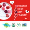 YumEarth Organic Pops Valentine Variety Pack - Fruity Lollipops -