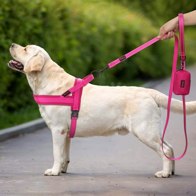 Didog No Pull Dog Harness with Soft Mesh Padded,Reflective &