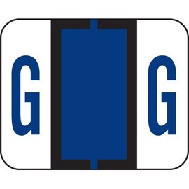 AMZfiling Alphabetic Color Coded Labels- Letter G, TAB Compatible, Purple (Vinyl, 500/Roll)