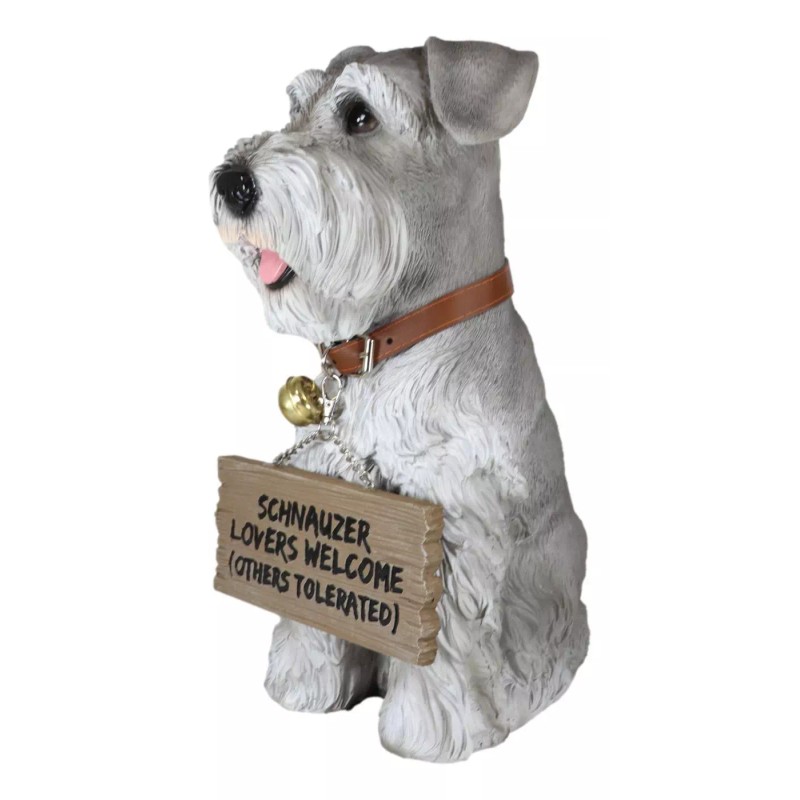 Adorable Grey Schnauzer Dog Sitting With Jingle Collar Greetings Sign