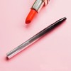 SAFIGLE Lipstick Lip Gloss Brush Tool Double-ended Lip Brush Metal