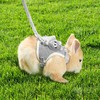 1PCS Rabbit Harness and Leash Set - Small Pet Harness