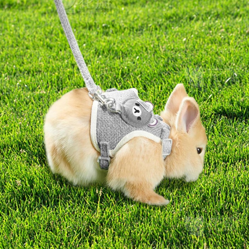 1PCS Rabbit Harness and Leash Set - Small Pet Harness