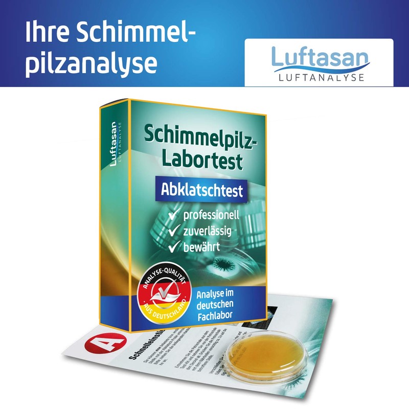 Mould Test Wall Swatter Test - Sampling Kit and Professional