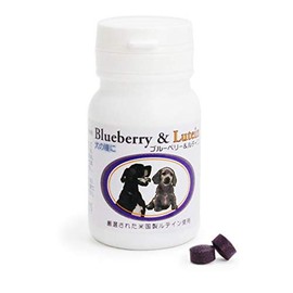 Nippon BF Blueberry & Rutin 60 Tablets