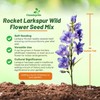 Outsidepride Mixed Rocket Larkspur Seeds for Planting Outdoors - 1000