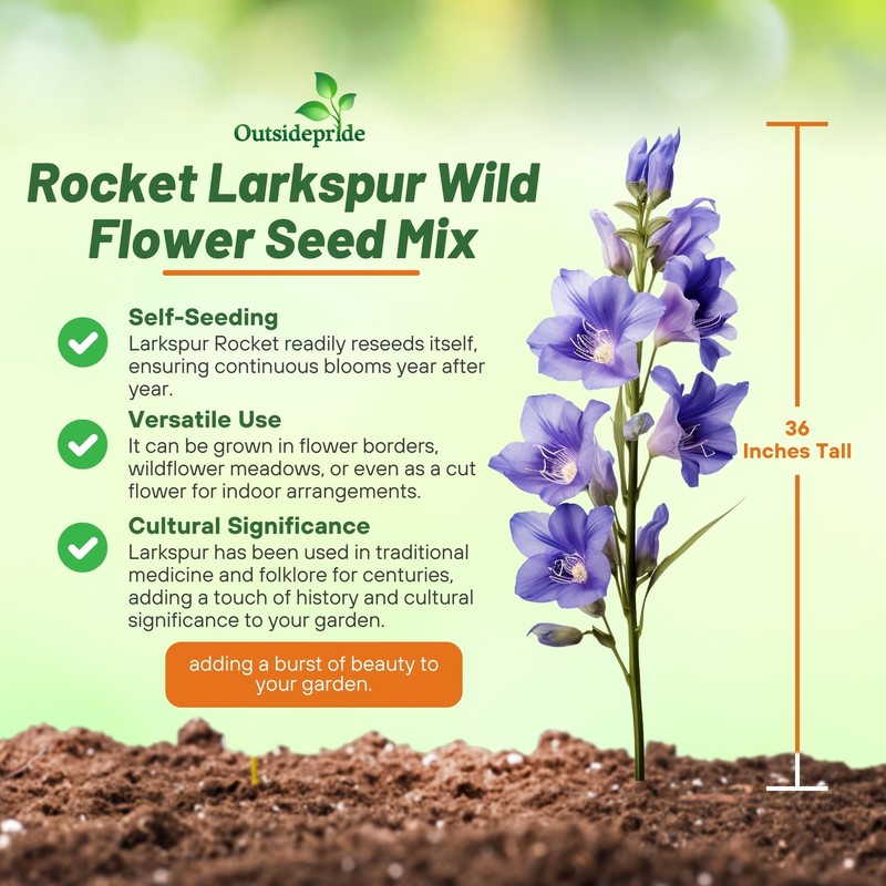 Outsidepride Mixed Rocket Larkspur Seeds for Planting Outdoors - 1000