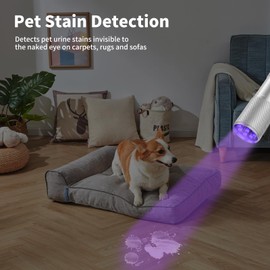 LEAGY 6 Pack UV Ultra Violet Blacklight 9 LED Flashlight Torch Light Outdoors Etc