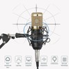 auvisio Microphone: Set of 2 Professional USB Condenser Microphones, High-Performance,