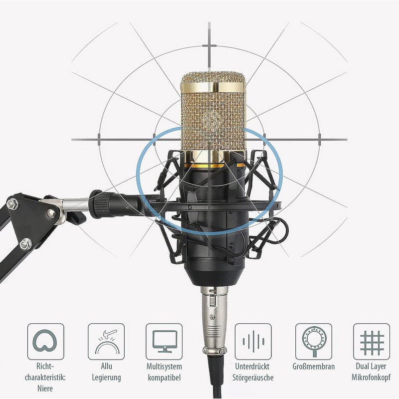 auvisio Microphone: Set of 2 Professional USB Condenser Microphones, High-Performance,
